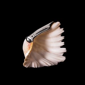 CONCHA DE LUÍS FERREIRA